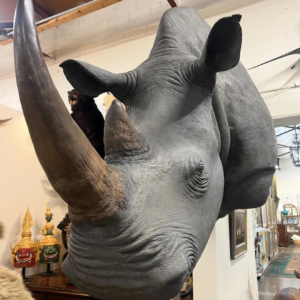 rhino head mount.webp