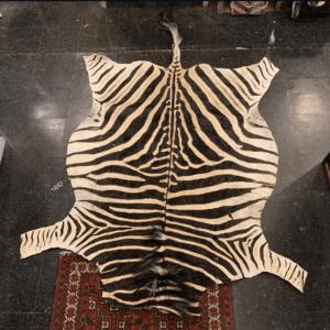 springbok hide