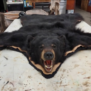 bear fur e7.webp