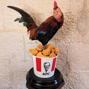 coq mount e3.webp