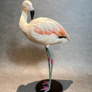 flamingo mount e9.webp