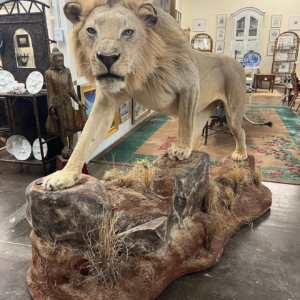 lion mount x1.webp