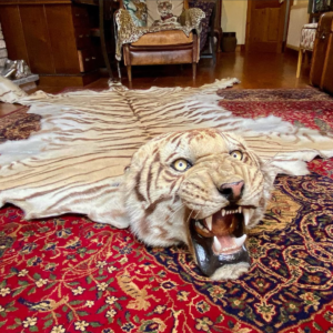 tiger fur x10.webp